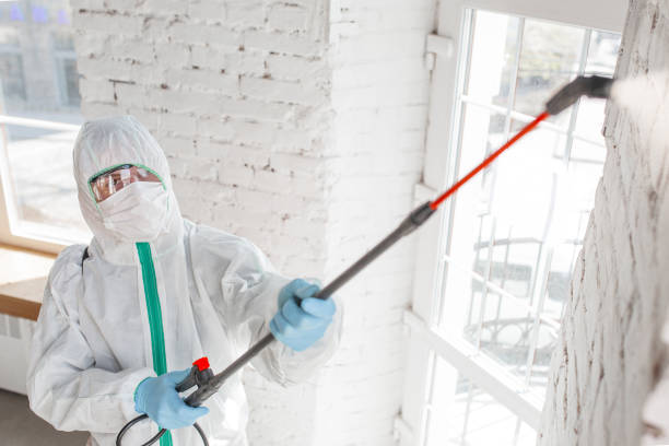 Best Emergency Mold Remediation  in Lake Lorelei, OH